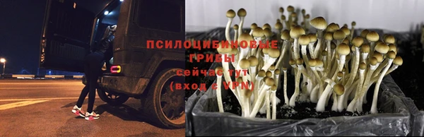 COCAINE Алексеевка