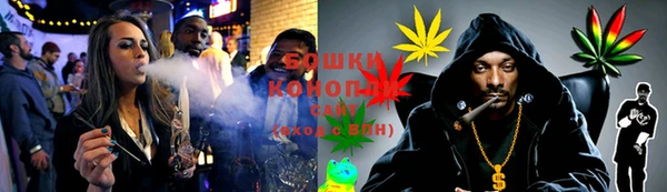 PSILOCYBIN Алзамай