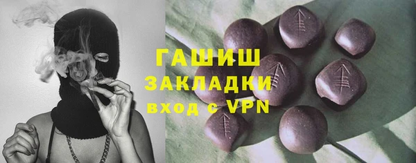 PSILOCYBIN Алзамай