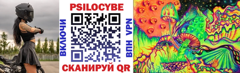 hydra ссылки Куртамыш Псилоцибиновые грибы прущие грибы